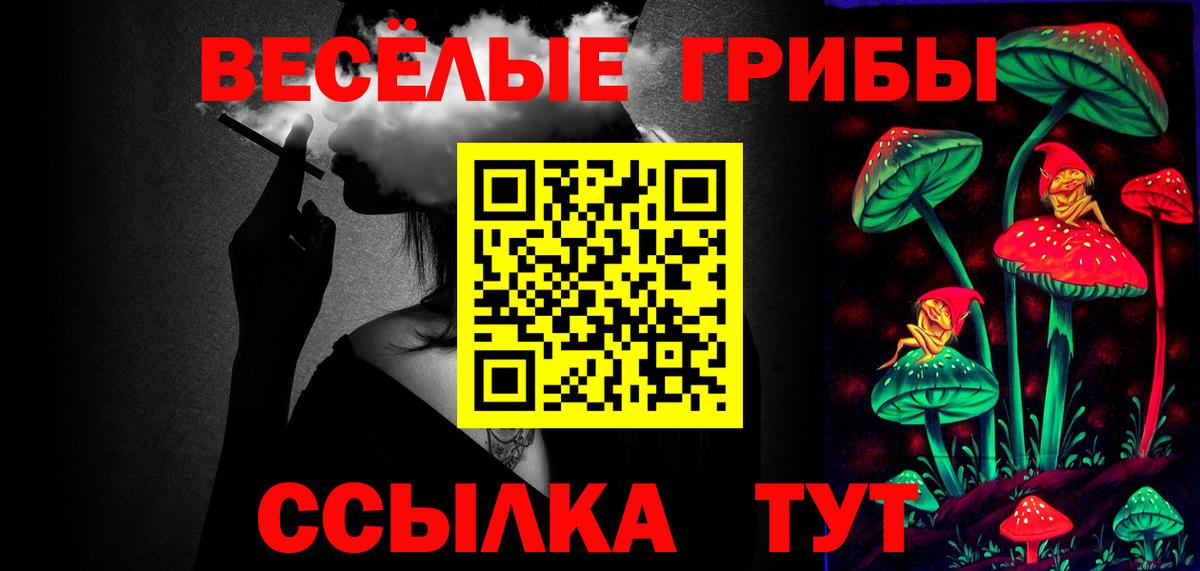 Ахтубинск  купить  цена  Вход с VPN  Псилоцибиновые грибы Cubensis 